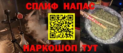 гидра Славгород