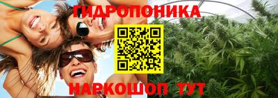 шишки Бугуруслан