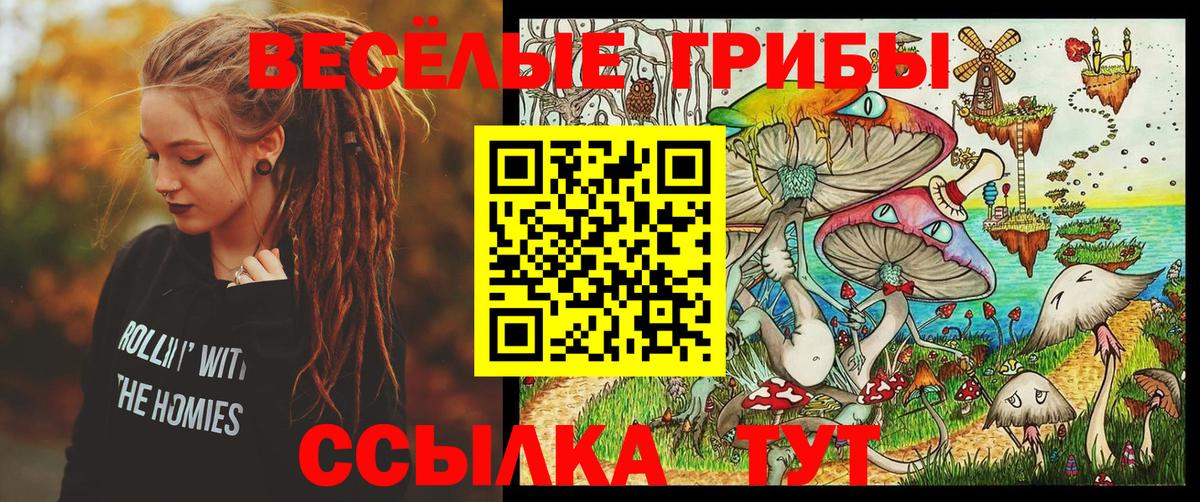 Галлюциногенные грибы GOLDEN TEACHER  даркнет сайт  Пушкино  Псилоцибиновые грибы MAGIC MUSHROOMS  Вход с VPN 
