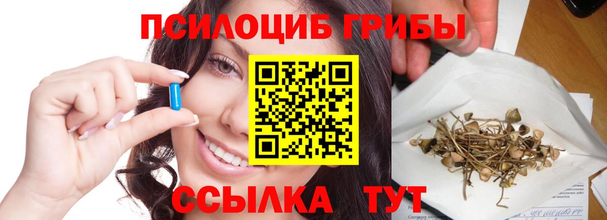 Галлюциногенные грибы Psilocybine cubensis Пушкино